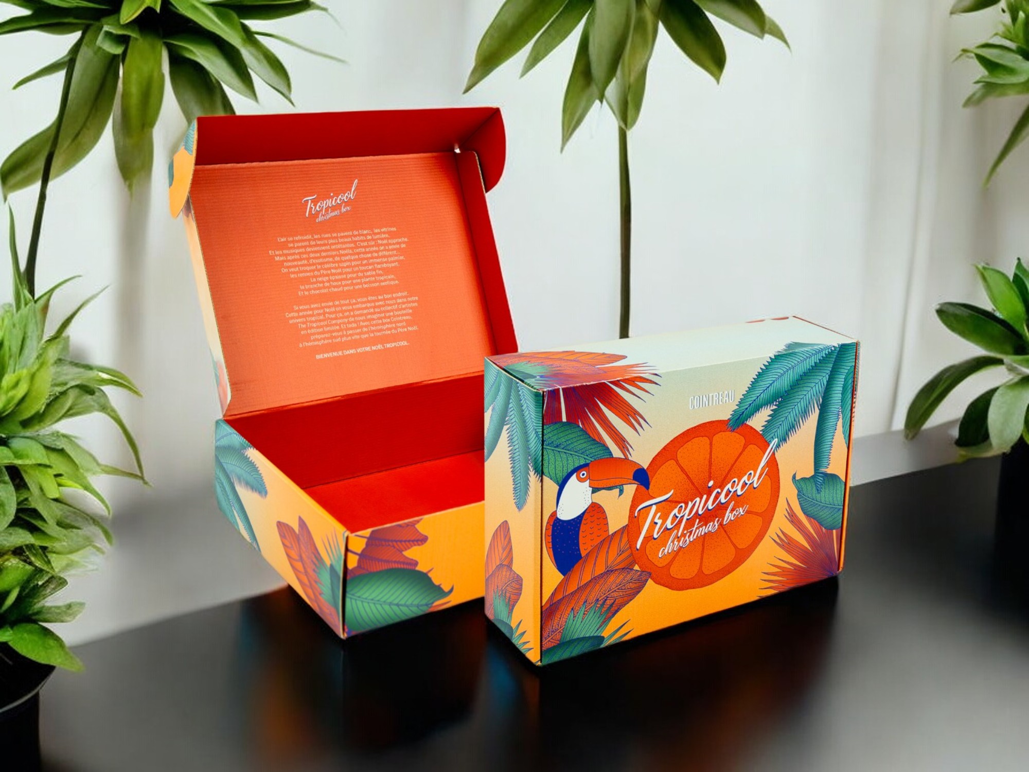 Une boite tropicool de couleur orange et vert avec le dessin d'un perroquet sur des feuilles.