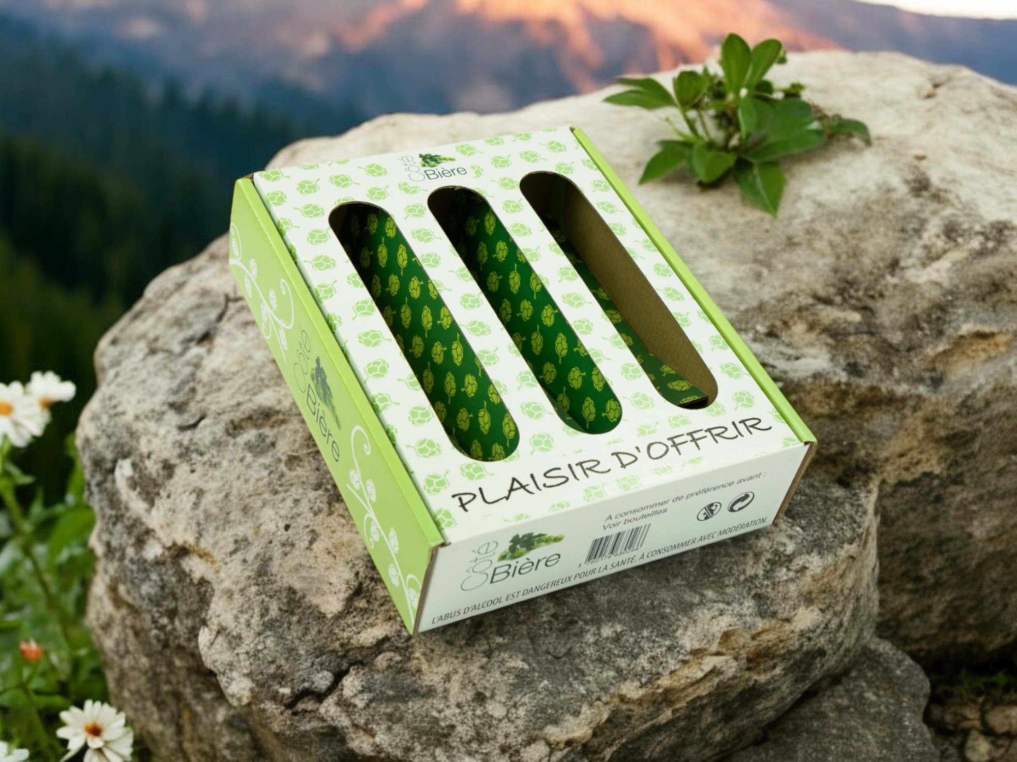 Un coffret pouvant contenir 3 bouteilles avec l'inscription plaisir d'offrir. Le coffret est de couleur verte et posé sur un rocher.