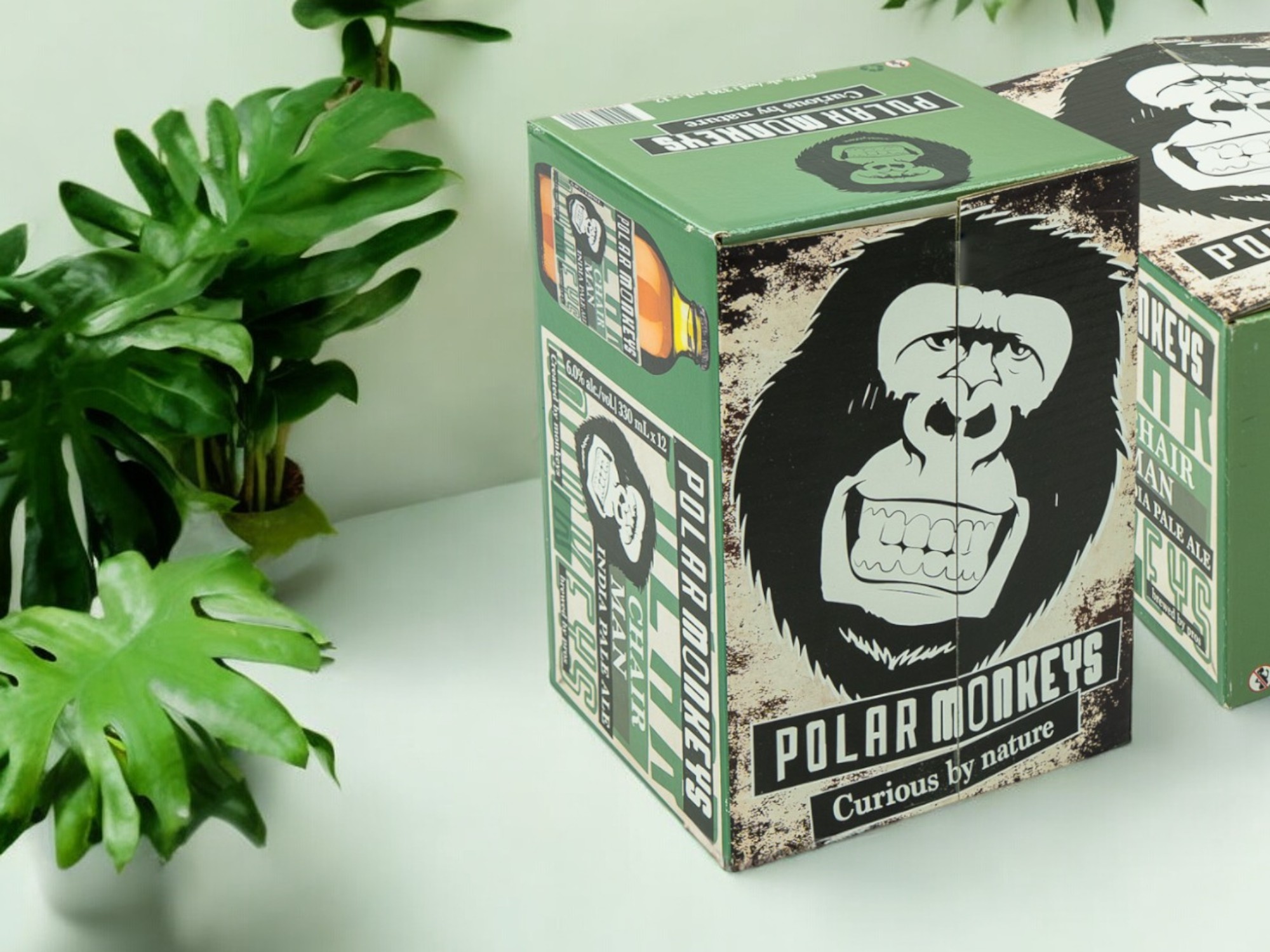 des caisses en carton pour contenir des bouteilles de bière de la marque Polar Monkey. Les caisses sont vertes et noires et présentent le dessin d'une bouteille de bière