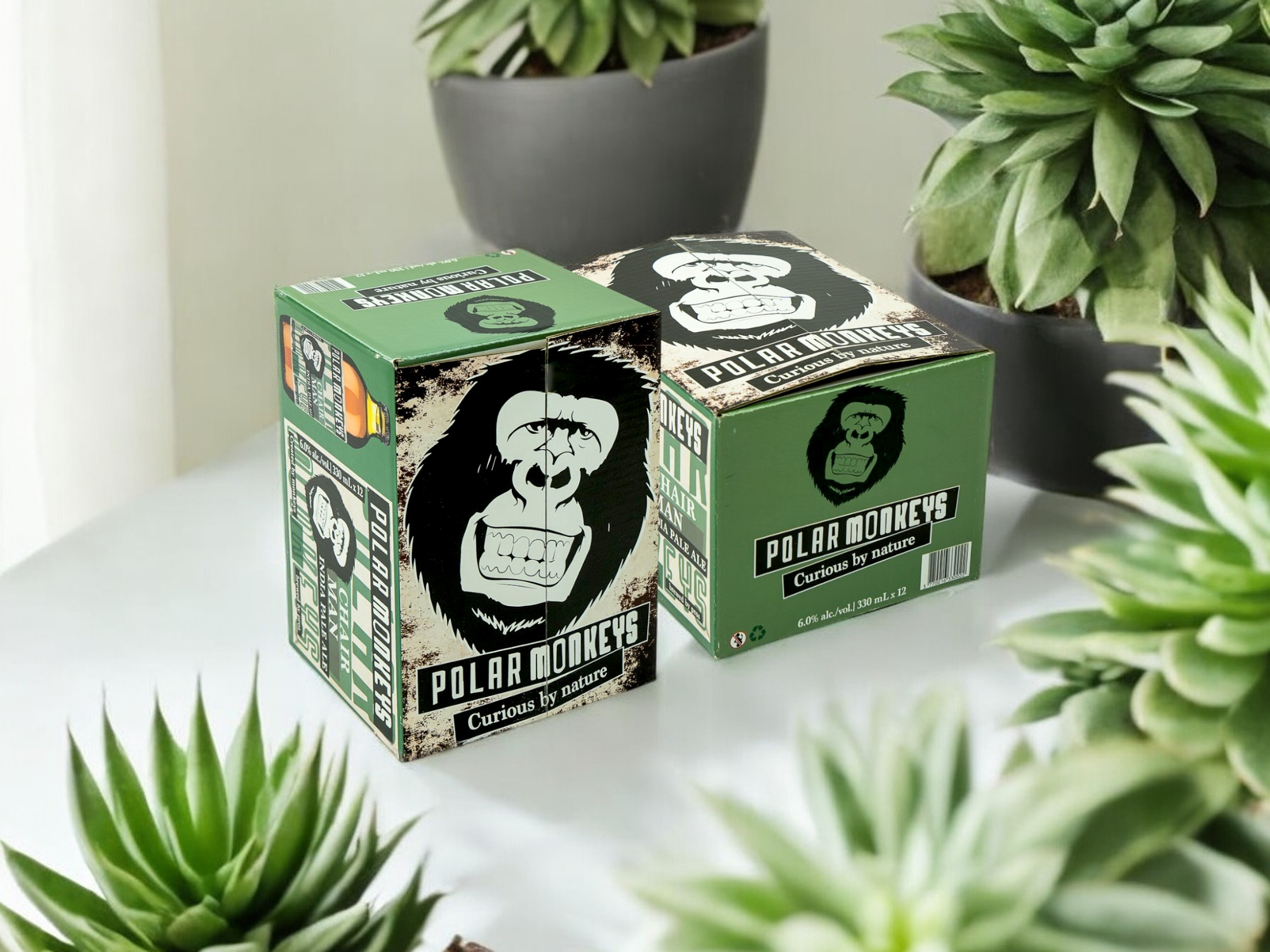 CAISSES POUR BOUTEILLES