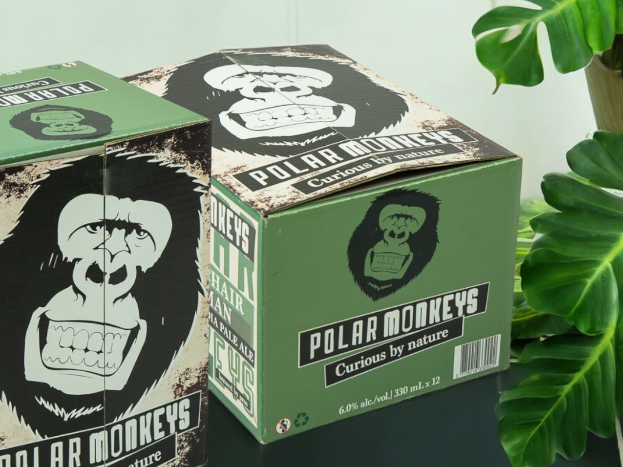 des caisses en carton pour contenir des bouteilles de bière de la marque Polar Monkey. Les caisses sont vertes et noires et présentent le dessin d'une bouteille de bière