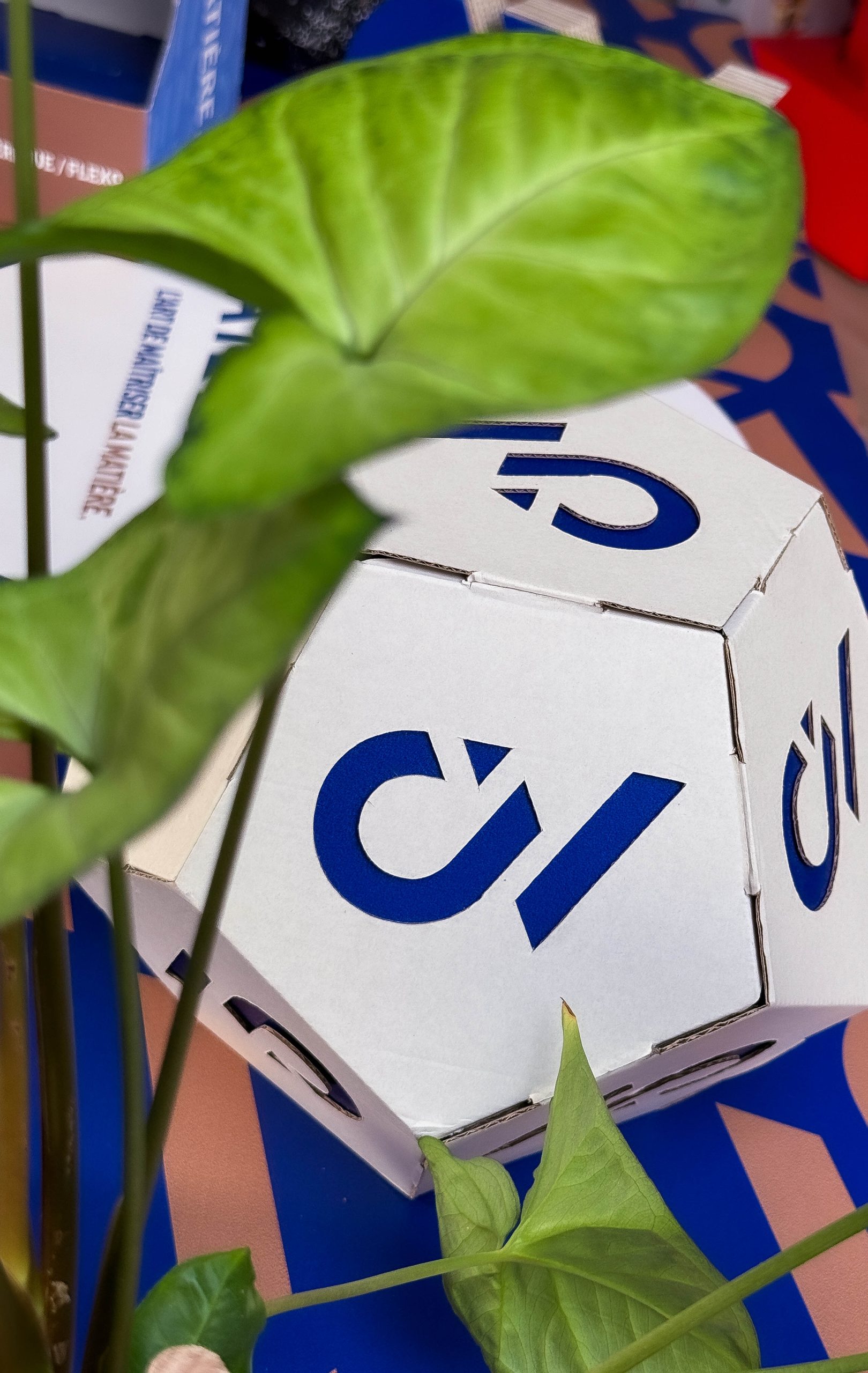 une boite en carton avec le logo cartonnages vaillant. La boite est située à côté d'une plante.