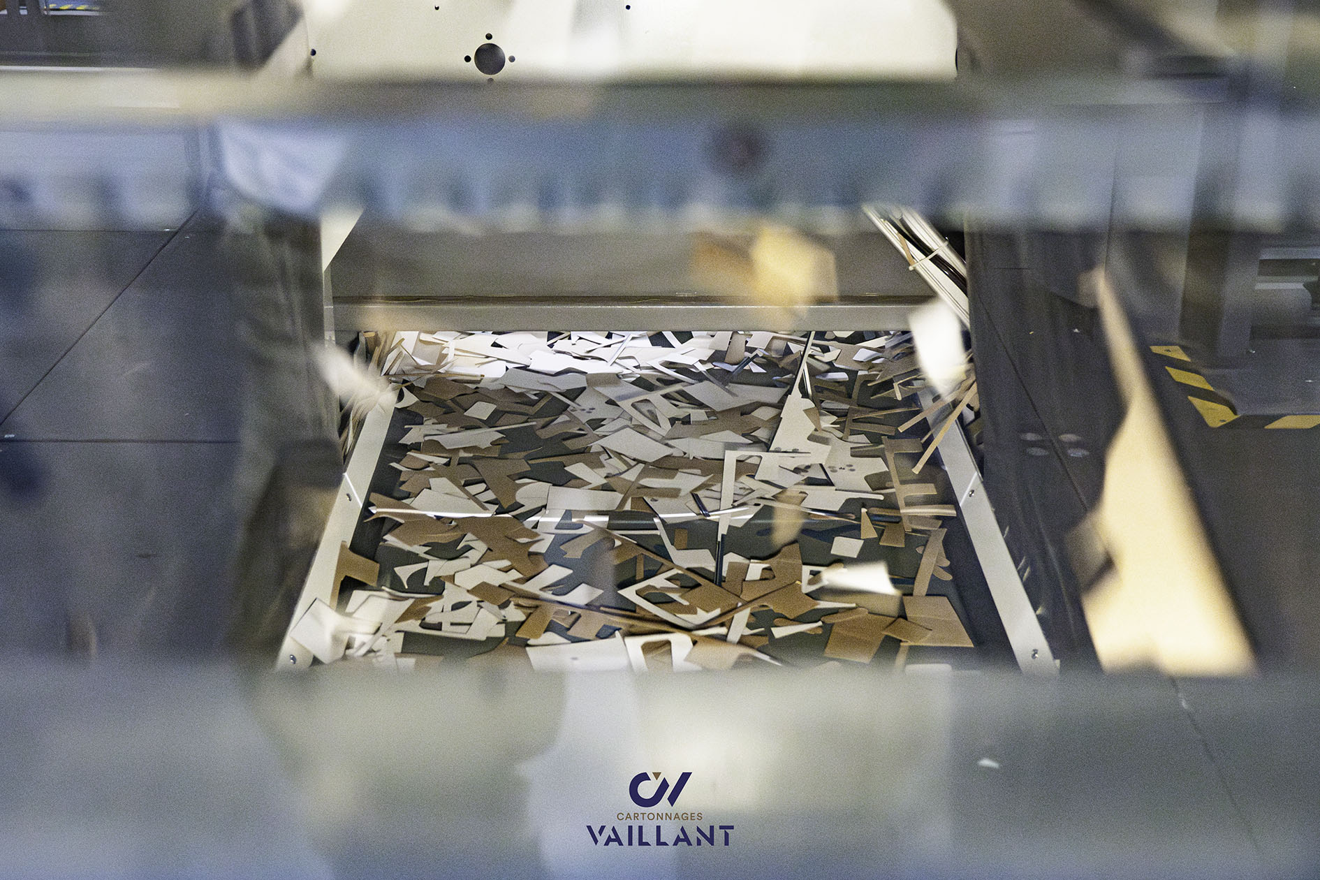 LA PLACE DU CARTON DANS LA TRANSITION ÉCOLOGIQUE