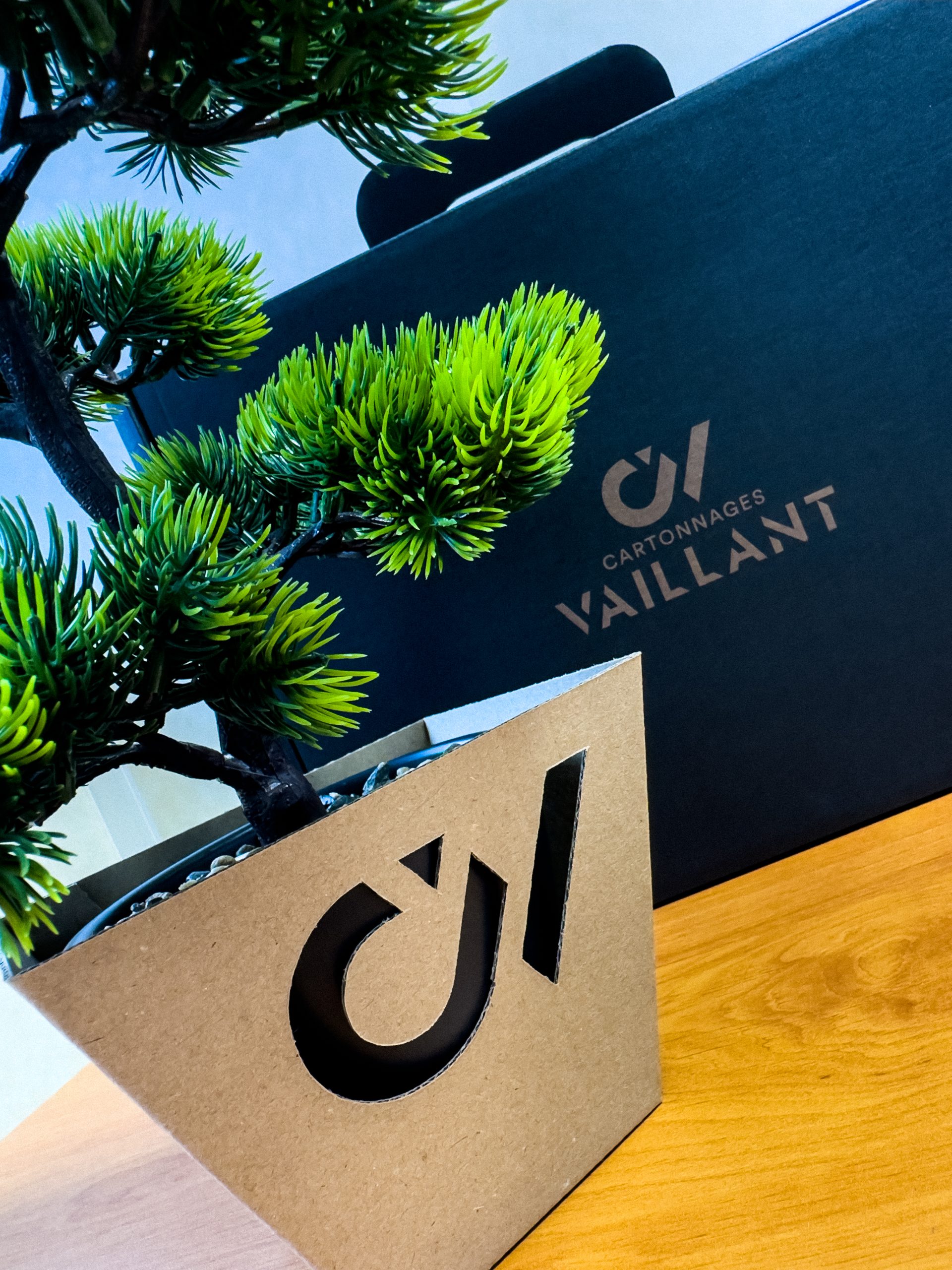 LES AVANTAGES ÉCOLOGIQUES DES EMBALLAGES SUR-MESURE